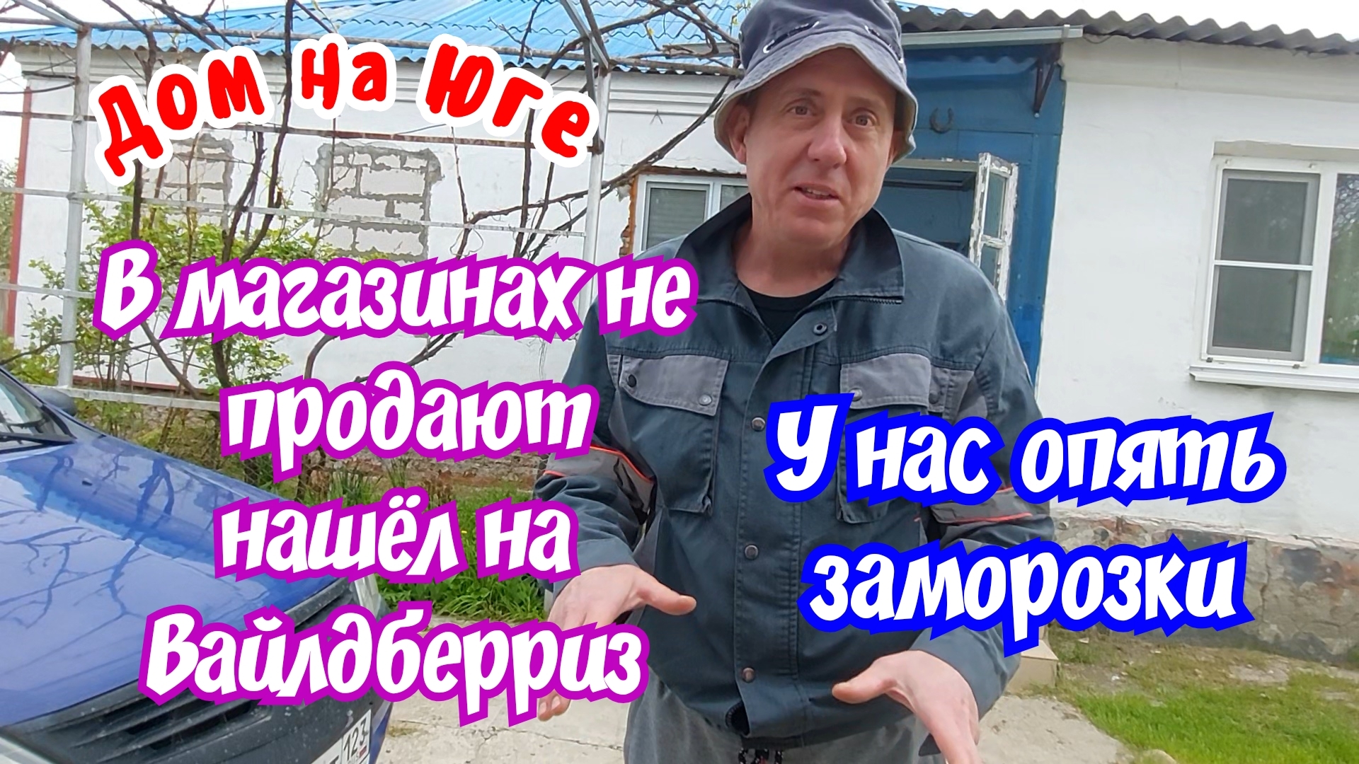 В магазине не продают, купил на Вайлдберриз. Выращивают инжир в кашпо.