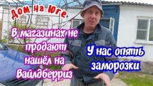 В магазине не продают, купил на Вайлдберриз. Выращивают инжир в кашпо.