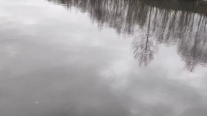 "Жизнь Пенсионера".. Посмотрим