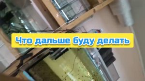 Что дальше буду делать