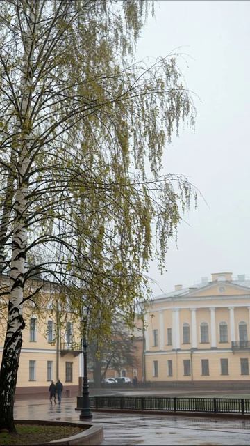 Весенний туман в городе #природа #осень #туман #город