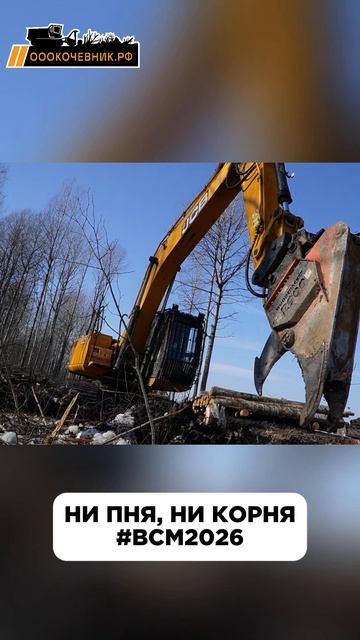 Подготовка участка под строительство ВСМ. Корчевка пней гидроножницами