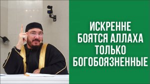 Искренне боятся Аллаха только богобоязненные