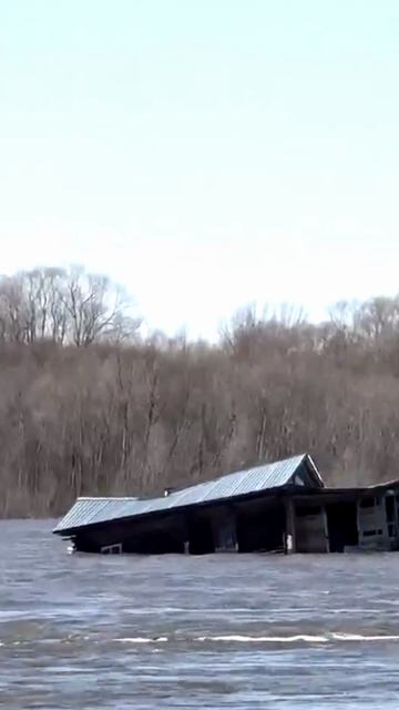 В река Ока плывет чей то дом