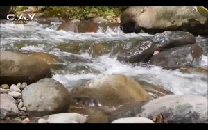 LIVE: C.A.Y. Records Digital Record Label