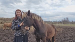 Лошади как терапия: новая методика реабилитации после физических и душевных травм