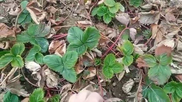 ВСЕ БРОСИЛА и ПОЕХАЛА к ОДНОКЛАССНИЦЕ.Жизнь в деревне.