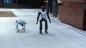 Губернские новости. 23.04.2026