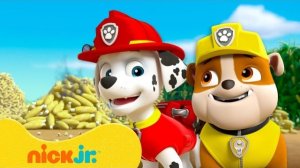 Щенячий патруль | Самые смелые моменты Раббла и Маршалла! 🐾  | Nick Jr. Cyrillic