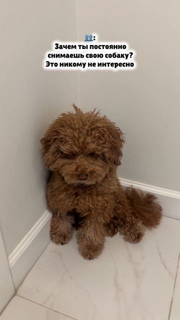 Контент для своих 