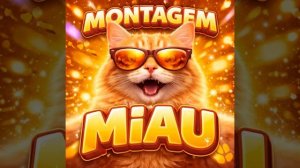 Montagem Miau