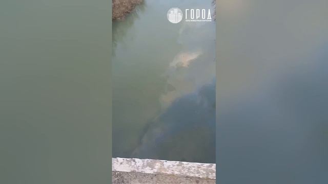 Нефтепродукты третий день стекают в реку Абин