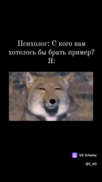 Отличный пример! 😀☺️ #психология #юмор