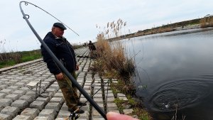 Рыбалка на канале, обучаю доночников ловить карася ))) G-Tec Xross Sensetive XSS-47ST-Pro