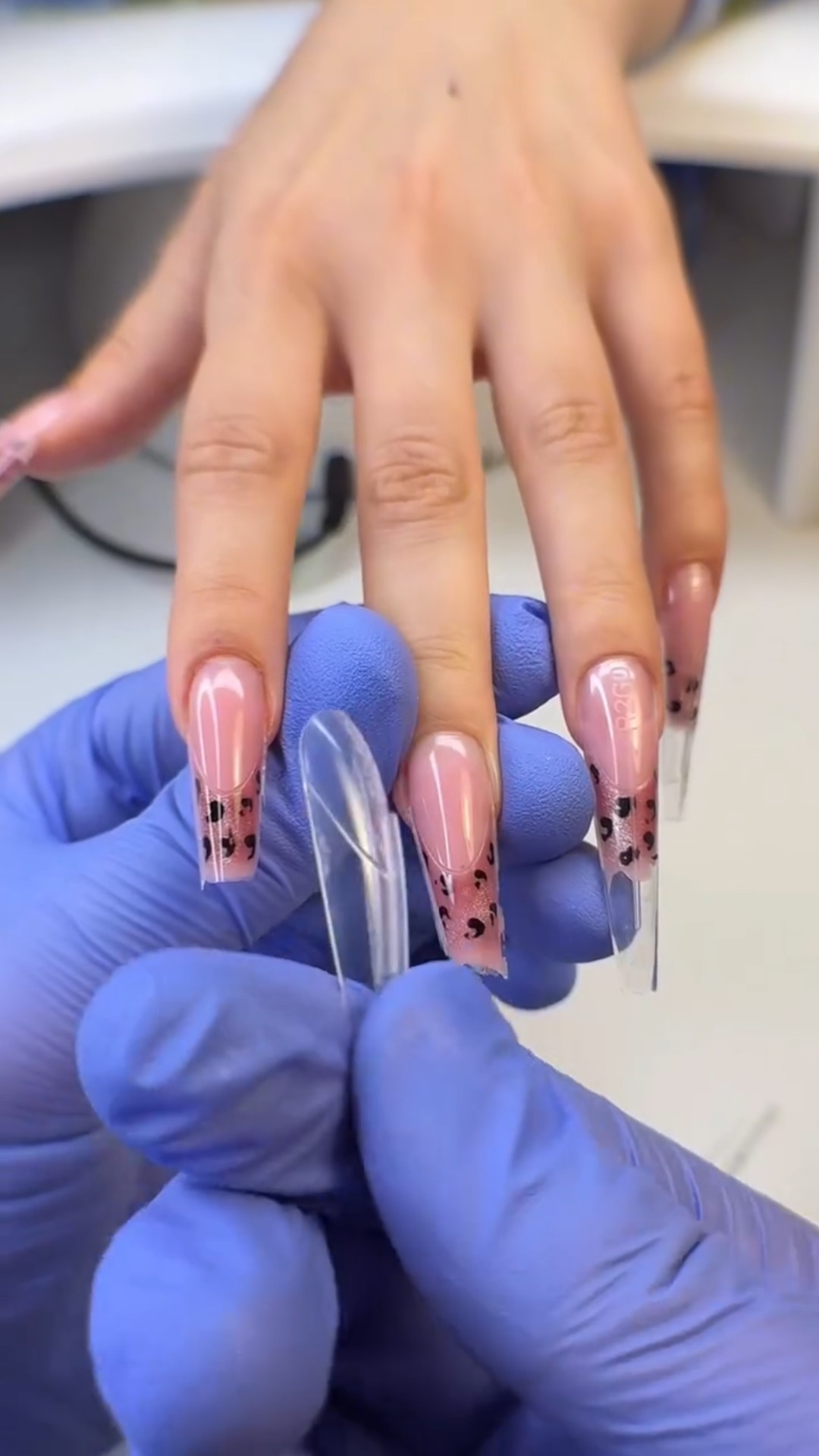 Французский леопард 🐆 ✨