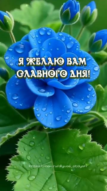 Хорошего дня!❤️😀🙏👍