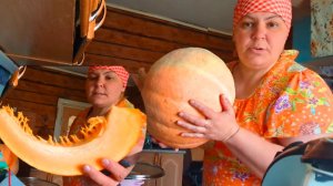 КОРОВА ТЕПЕРЬ ДОРОГОЕ УДОВОЛЬСТВИЕ .Любимый сорт тыквы.