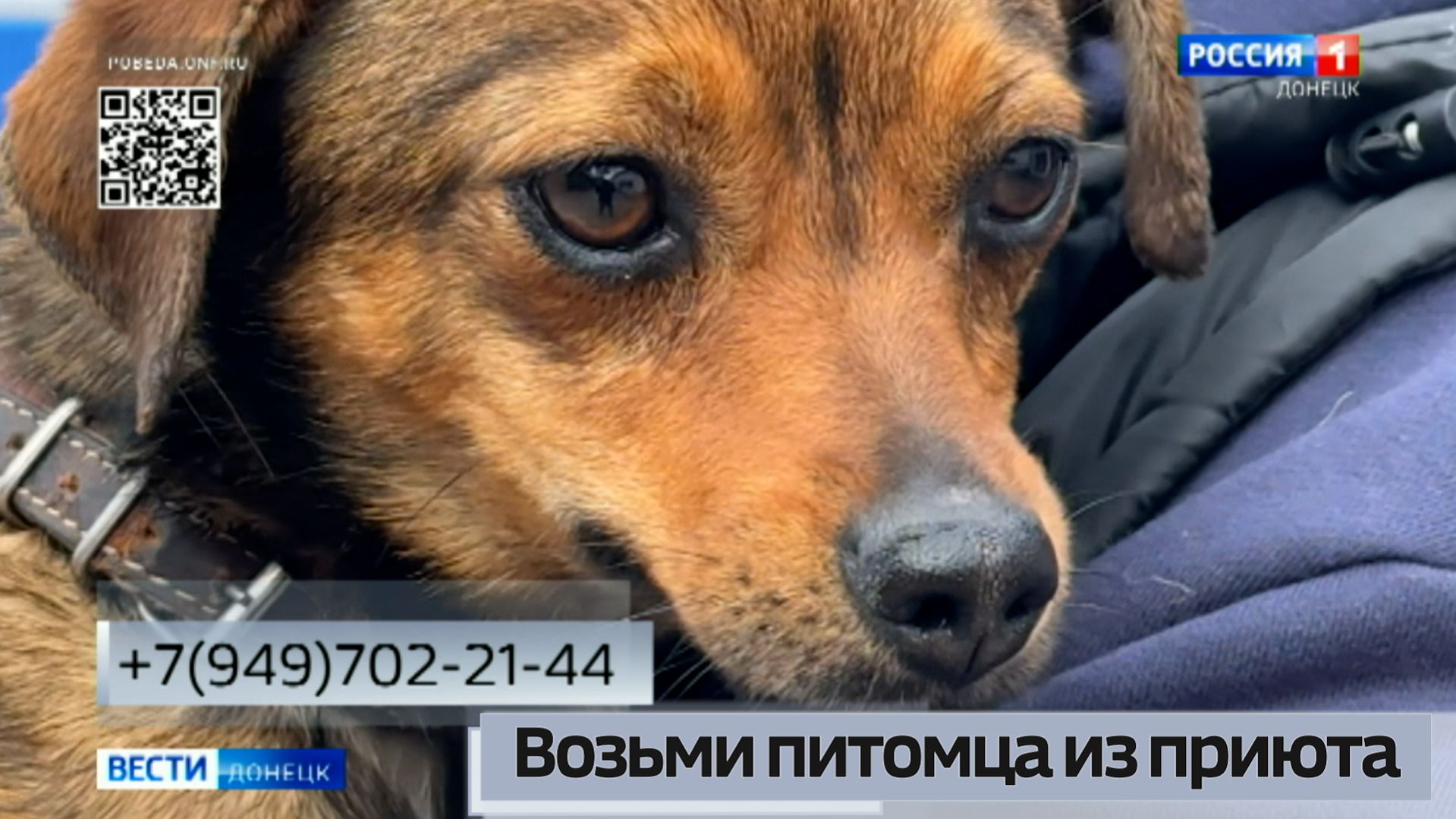 Оперативная обстановка в ДНР