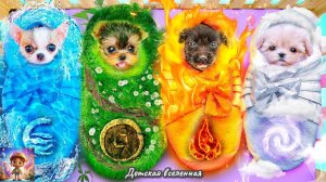 ПРИЮТИЛИ ЖИВОТНЫХ - ОГОНЬ ВОДА ВОЗДУХ И ЗЕМЛЯ / СТРОИМ СЕКРЕТНЫЕ ДОМИКИ ДЛЯ ЖИВОТНЫХ