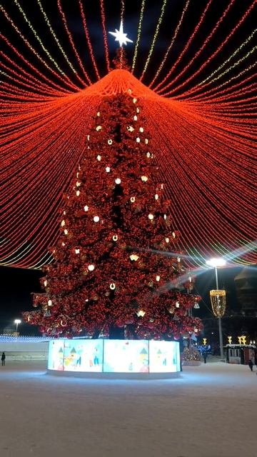 Городская ёлка в Туле