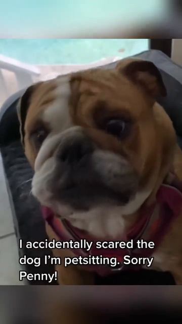 Не пугай меня!