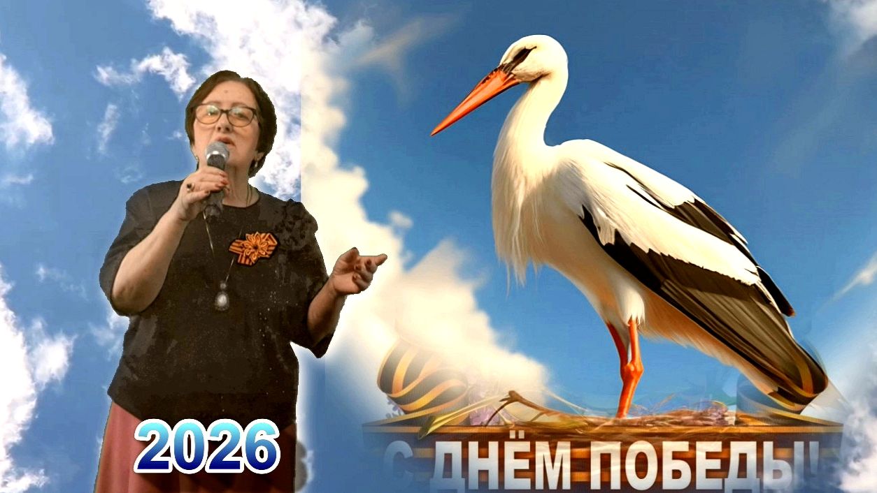 АИСТ НА КРЫШЕ - ЛИВАТИНОВА ИННА