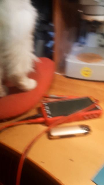 Вася хозяйничает