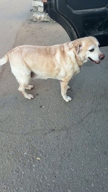 Затруднения Ульзаны anzl.ru