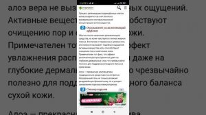 Полезные свойства Алое вера и как применять,видео 1 🌿🪴