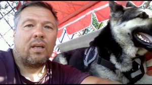 ИГОРЬ БОРИСОВИЧ АЛТАЙСКИЙ-КИНОЛОГ