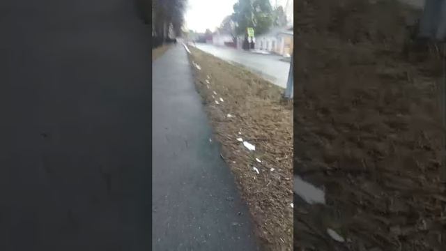 вечерний стрим