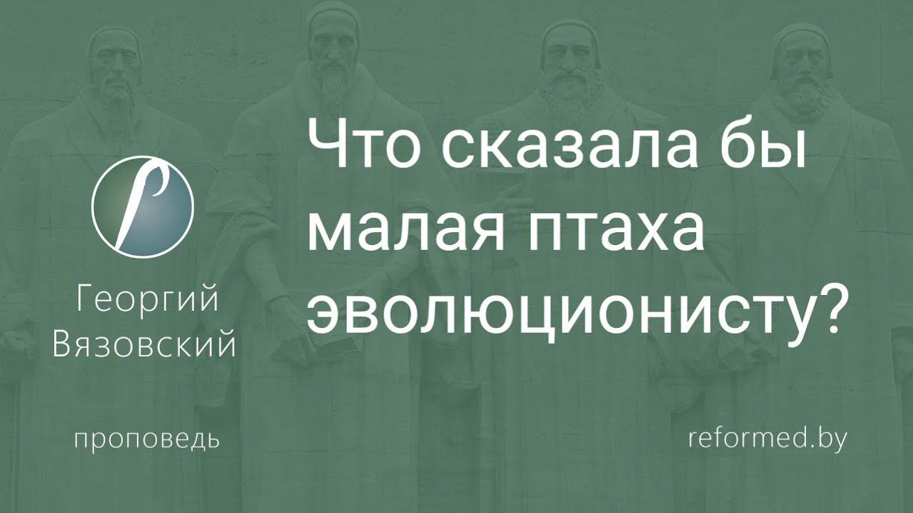 Что сказала бы малая птаха эволюционисту? || пастор Георгий Вязовский