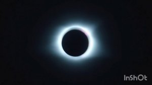 The Collective wine is the trash