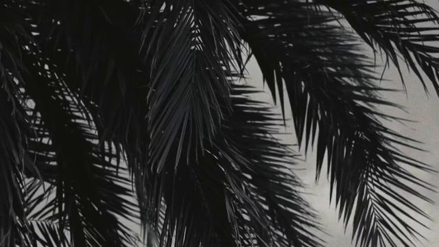 ZARINA - Summer collection (Россия) (2024)