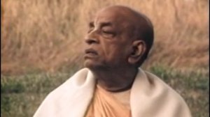 Прабхупада. Существует ли реинкарнация?