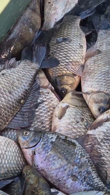 Ты знаешь кому отправить 👍