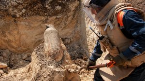 Две фугасные бомбы времен Великой Отечественной войны ликвидировали калининградские пиротехники