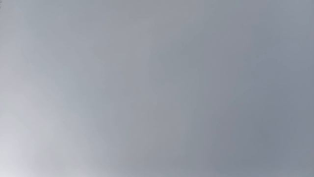 отрывок из видео 🎞️