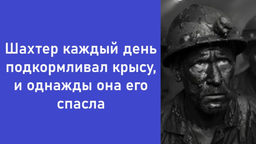 Истории из жизни | Аудио рассказы | Аудиокниги слушать онлайн | Жизненные истории