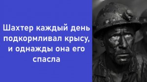 Истории из жизни | Аудио рассказы | Аудиокниги слушать онлайн | Жизненные истории
