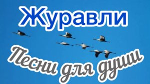 Песни для души. «Журавли».