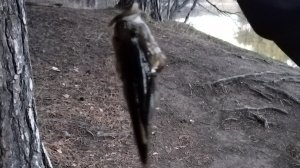 Делаю домашнее задание по математике и Простите ребят у меня ограничения 100 слов ничего не влезае