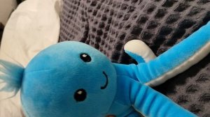 только пожиратель коробка