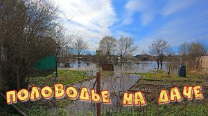ПОЛОВОДЬЕ НА ДАЧЕ