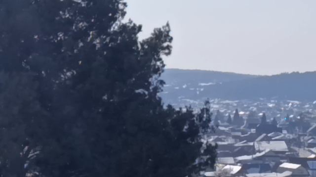 4. Гора Теплая (728 метров). 14 марта 2026 года.