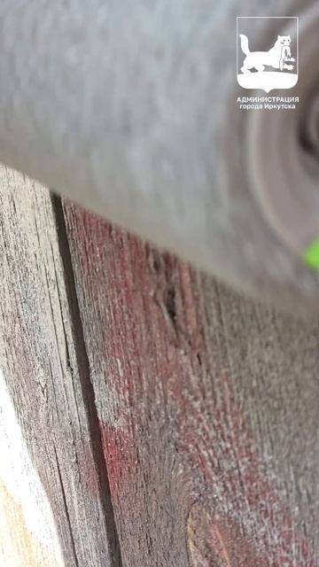 Закрашиваем теги каждый сезон