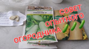 Не торопись,а то перерастет,приживается плохо🤷♂️🤷♀️🤷♀️🤷♀️🤷♀️🤷♀️🤷♀️