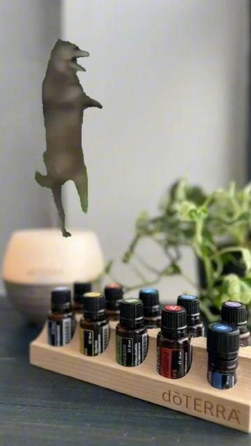 качество решает все