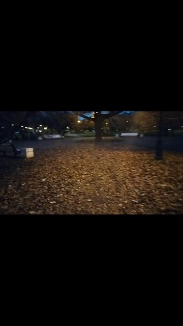 на Марсовом поле