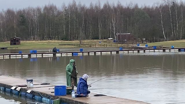 Форель схватила на поверхности
